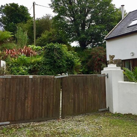 Fernery Garden Cottage, Near Skibbereen Buitenkant foto